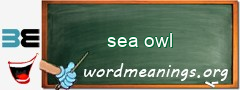 WordMeaning blackboard for sea owl